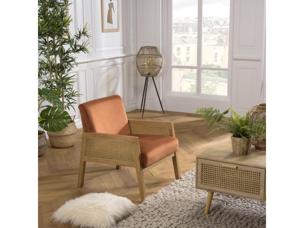 Homzora - Homzora velvet armchair with wooden legs and rattan armrests